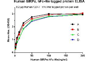 ELISA image for Signal-Regulatory Protein alpha (SIRPA) (AA 31-373) protein (Fc-His Tag) (ABIN6961082)