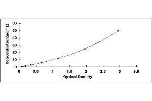 Typical standard curve (IRAK2 ELISA Kit)