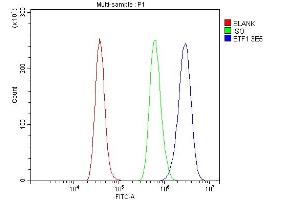 anti-Eukaryotic Translation Termination Factor 1 (ETF1) (AA 9-342) antibody
