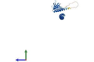 Protein Structure (PS) image for Homer Homolog 1 (HOMER1) (AA 1-354) protein (His tag) (ABIN7548367)
