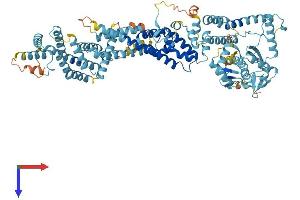 ANAPC2 Protein (AA 1-822) (His tag)