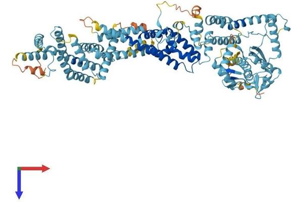ANAPC2 Protein (AA 1-822) (His tag)