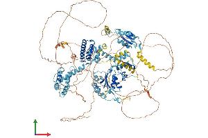 Protein Structure (PS) image for Replication Factor C (Activator 1) 1, 145kDa (RFC1) (AA 1-1148) protein (His tag) (ABIN7555219)