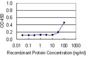 Detection limit for recombinant GST tagged PKM2 is 10 ng/ml as a capture antibody. (PKM2 Antikörper  (AA 436-531))