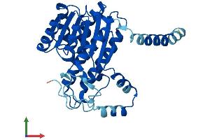 Protein Structure (PS) image for Dehydrogenase/reductase (SDR Family) Member 3 (DHRS3) (AA 1-302) protein (His tag) (ABIN7562681)