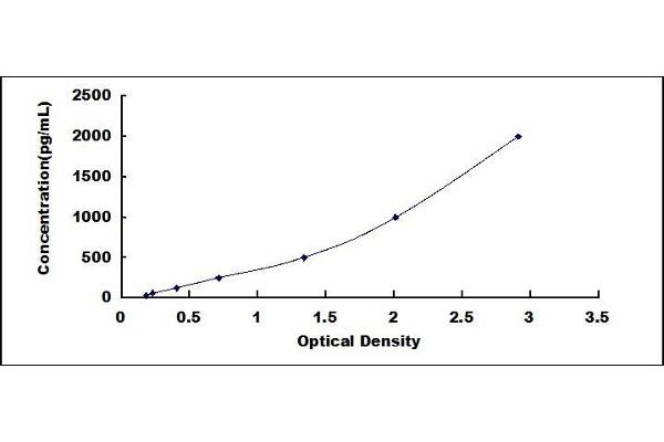 FLT3LG ELISA Kit