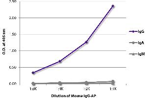 ELISA image for Mouse IgG isotype control (Alkaline Phosphatase (AP)) (ABIN375645)
