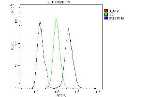 Flow Cytometry analysis of U20S cells using anti-SRI antibody (ABIN6719388). (SRI Antikörper)