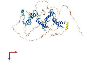 ZNF205 Protein (AA 1-554) (His tag)