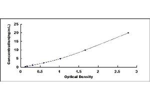 Typical standard curve (MFAP4 ELISA Kit)