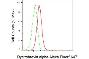 Flow cytometric analysis of Dystrobrevin alpha expression in C2C12 cells using Dystrobrevin alpha antibody (ABIN7798410), 1:1,000). (DTNA Antikörper)