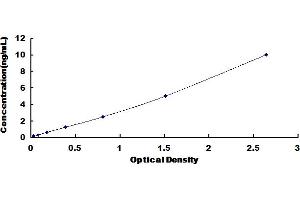 Typical Standard Curve for Rat WNT3 ELISA. (WNT3 ELISA Kit)