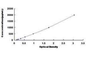 ELISA image for Low Density Lipoprotein Receptor-Related Protein 8, Apolipoprotein E Receptor (LRP8) ELISA Kit (ABIN433404)