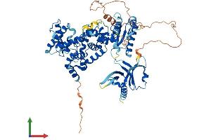 AlphaFold protein structure predicition of Mouse Recombinant Tbc1d23 Protein, UniprotID Q8K0F1