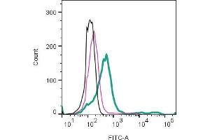 anti-Hydroxycarboxylic Acid Receptor 2 (HCAR2) (AA 82-94), (Extracellular) antibody (FITC)