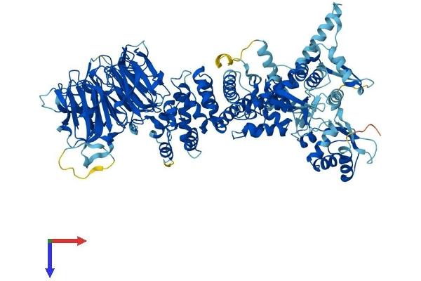 HERC4 Protein (AA 1-1057) (His tag)