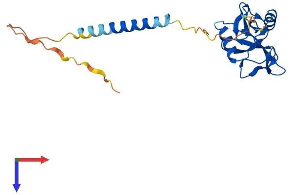 KLRB1F Protein (AA 1-217) (His tag)