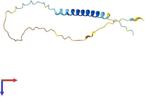 TCEAL8 Protein (AA 1-117) (His tag)