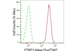 Flow cytometric analysis of PTBP1 expression in HAP-1 cells using PTBP1 antibody (ABIN7799882), 1:2,000). (Rekombinanter PTBP1 Antikörper)