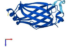 PDE6D Protein (AA 1-150) (His tag)