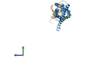 Protein Structure (PS) image for Duffy Blood Group, Chemokine Receptor (DARC) (AA 1-336) protein (His tag) (ABIN7551828)