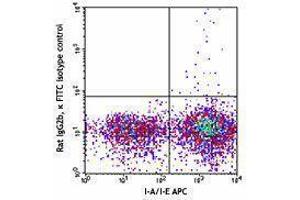 Flow Cytometry (FACS) image for anti-DC Marker antibody (FITC) (ABIN2661877) (DC Marker Antikörper (FITC))