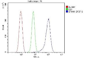 Flow Cytometry analysis of RH-35 cells using anti-Stathmin 1 antibody (ABIN3043301).