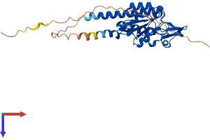 MRPS2 Protein (AA 1-296) (His tag)