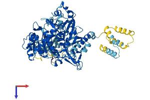 SLC27A5 Protein (AA 1-690) (His tag)