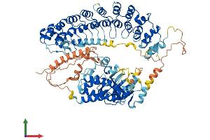 Protein Structure (PS) image for TNNI3 Interacting Kinase (TNNI3K) (AA 1-835) protein (His tag) (ABIN7544464)