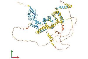 Protein Structure (PS) image for Ubiquilin 4 (UBQLN4) (AA 1-601) protein (His tag) (ABIN7555928)
