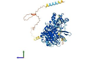 Protein Structure (PS) image for Exostosin 1 (EXT1) (AA 1-746) protein (His tag) (ABIN7556813)