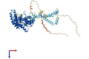 ST7L Protein (AA 1-575) (His tag)