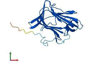 Protein Structure (PS) image for Chromosome 16 Open Reading Frame 80 (C16orf80) (AA 1-193) protein (His tag) (ABIN7553243)