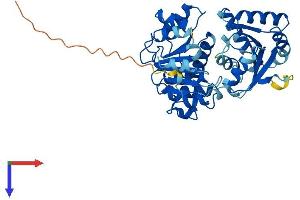 EIF4A3 Protein (AA 1-411) (His tag)
