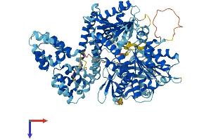 DDX58 Protein (AA 1-925) (His tag)