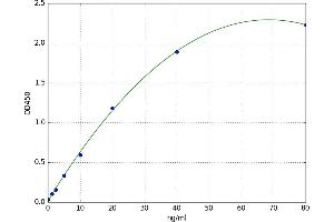 A typical standard curve