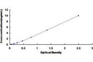 Abl-Interactor 1 (ABI1) ELISA Kit