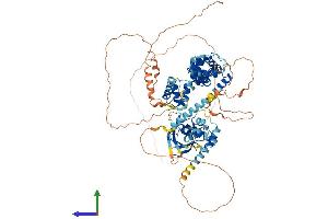 AlphaFold protein structure predicition of Human Recombinant SATB1 Protein, UniprotID Q01826