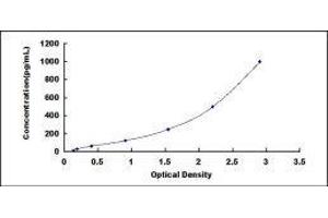 ELISA image for Tumor Necrosis Factor alpha (TNF alpha) ELISA Kit (ABIN414279)