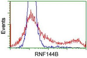 HEK293T cells transfected with either RC209302 overexpress plasmid (Red) or empty vector control plasmid (Blue) were immunostained by anti-RNF144B antibody (ABIN2453806), and then analyzed by flow cytometry. (RNF144B Antikörper)