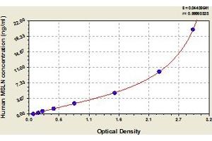 Typical Standard Curve (Mesothelin ELISA Kit)