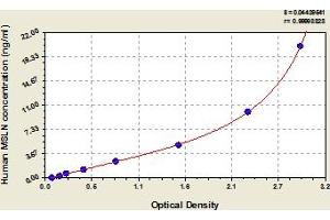 Mesothelin ELISA Kit