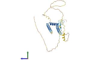 Protein Structure (PS) image for Regulatory Factor X-Associated Protein (RFXAP) (AA 1-272) protein (His tag) (ABIN7551346)