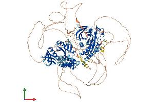 AlphaFold protein structure predicition of Mouse Recombinant Ptpn21 Protein, UniprotID Q62136 (PTPN21 Protein (AA 1-1176) (His tag))