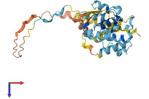 EBLN2 Protein (AA 1-272) (His tag)