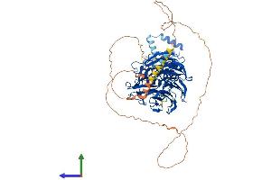 Protein Structure (PS) image for F-Box and WD Repeat Domain Containing 7 (FBXW7) (AA 1-707) protein (His tag) (ABIN7553894)