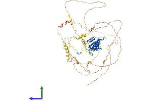 Protein Structure (PS) image for Forkhead Box C1 (FOXC1) (AA 1-553) protein (His tag) (ABIN7557717)