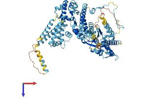 ORC3 Protein (AA 1-711) (His tag)