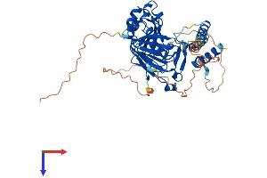 HSPBAP1 Protein (AA 1-488) (His tag)